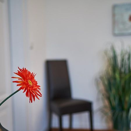 Casa Pinos Apartment FDH Екстериор снимка
