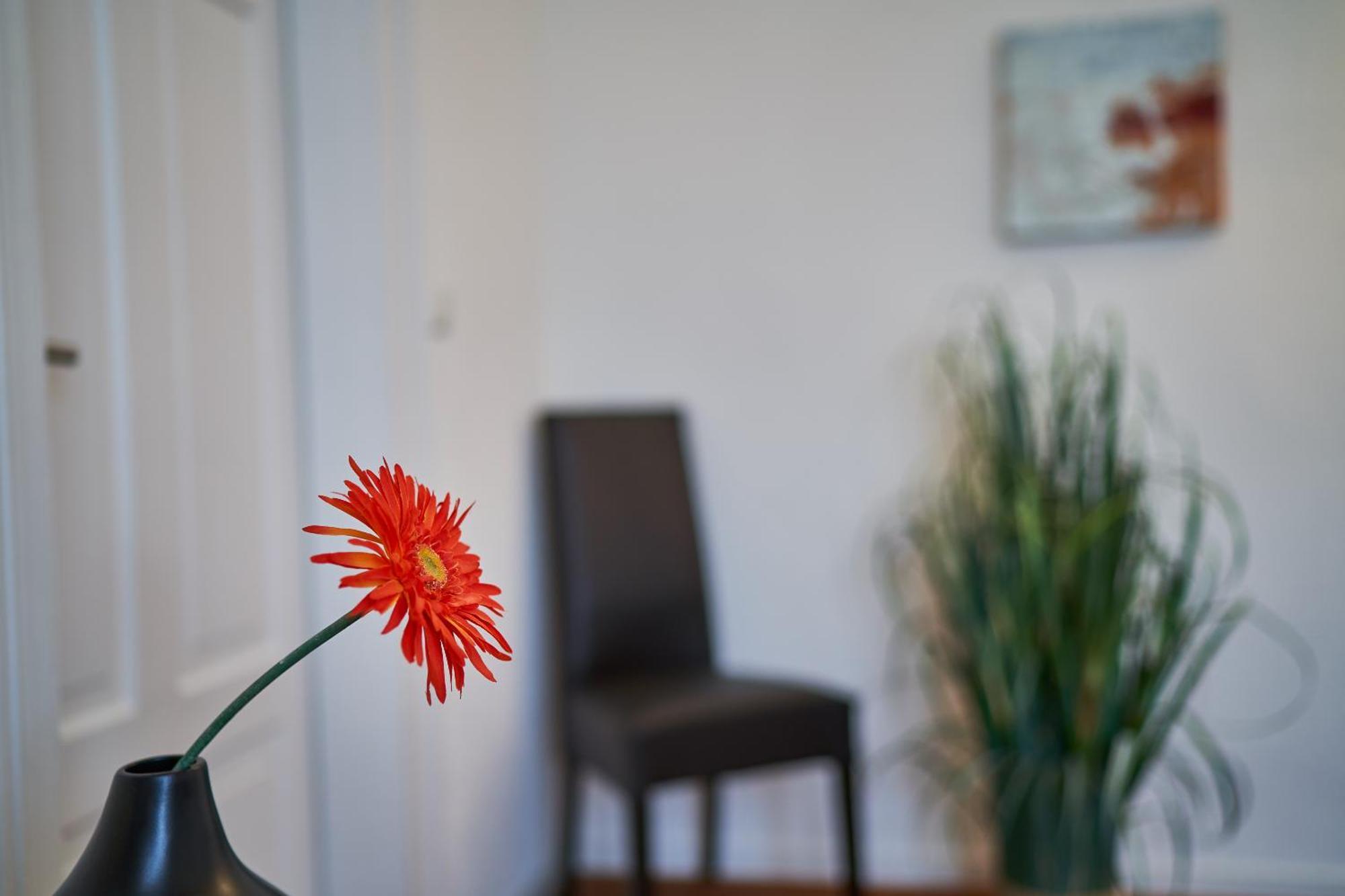 Casa Pinos Apartment FDH Екстериор снимка